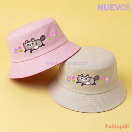 Bucket de Mapache 🦝